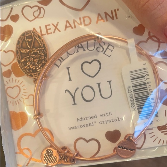 Alex and Ani Friendship Bracelet - Picture 4 of 5